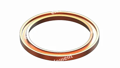 OIL SEAL RING 442.6470-01