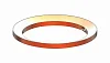 DUST SEAL RING