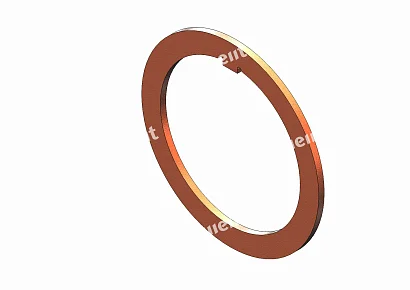 WEARING RING 442.9809-01